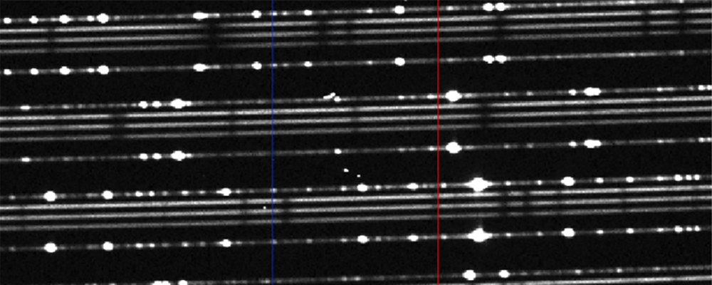 Spectroscopy with Minerva-Australis
